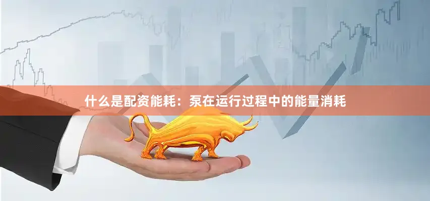 什么是配资能耗：泵在运行过程中的能量消耗