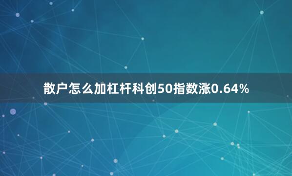 散户怎么加杠杆科创50指数涨0.64%