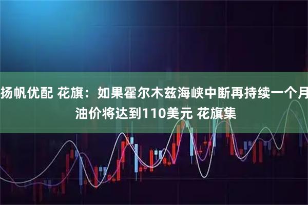 扬帆优配 花旗：如果霍尔木兹海峡中断再持续一个月 油价将达到110美元 花旗集