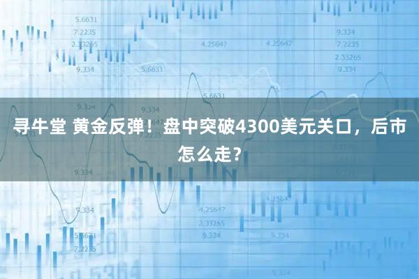 寻牛堂 黄金反弹！盘中突破4300美元关口，后市怎么走？