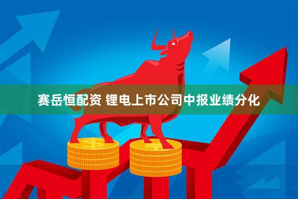 赛岳恒配资 锂电上市公司中报业绩分化