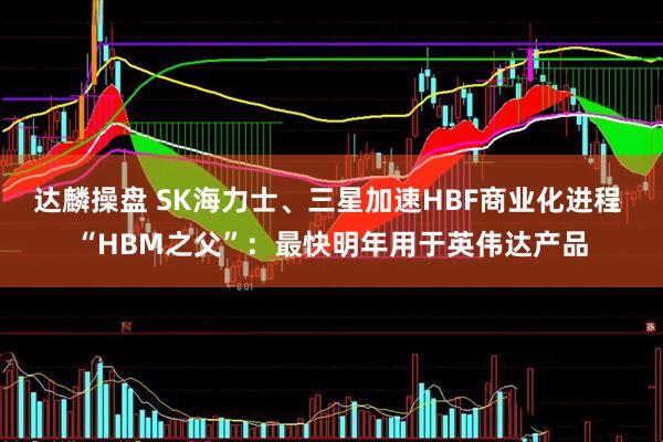达麟操盘 SK海力士、三星加速HBF商业化进程 “HBM之父”：最快明年用于英伟达产品